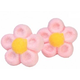 MARGHERITE ROSA MALLOW 9 g 0,9 Kg